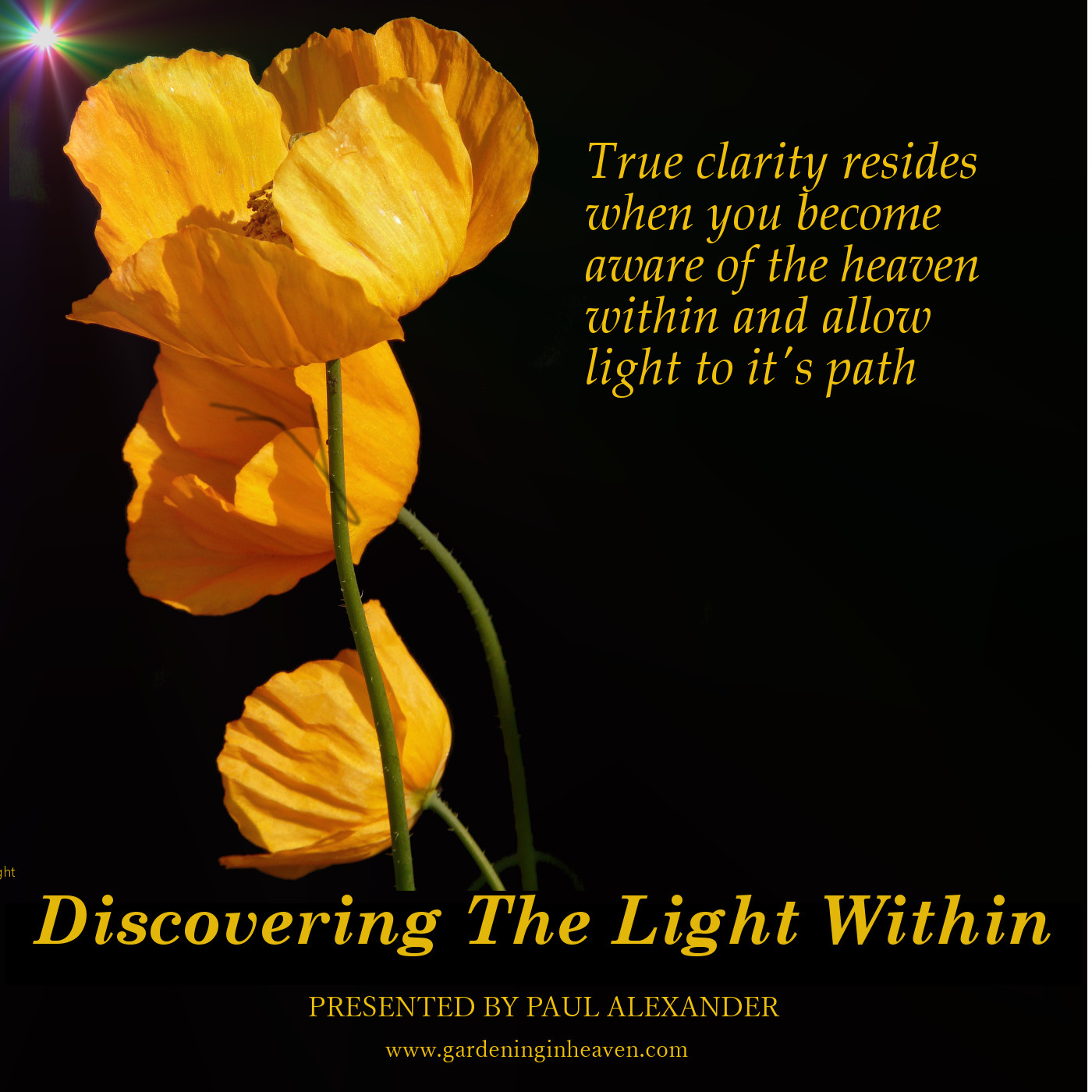 Discovering The Light Within